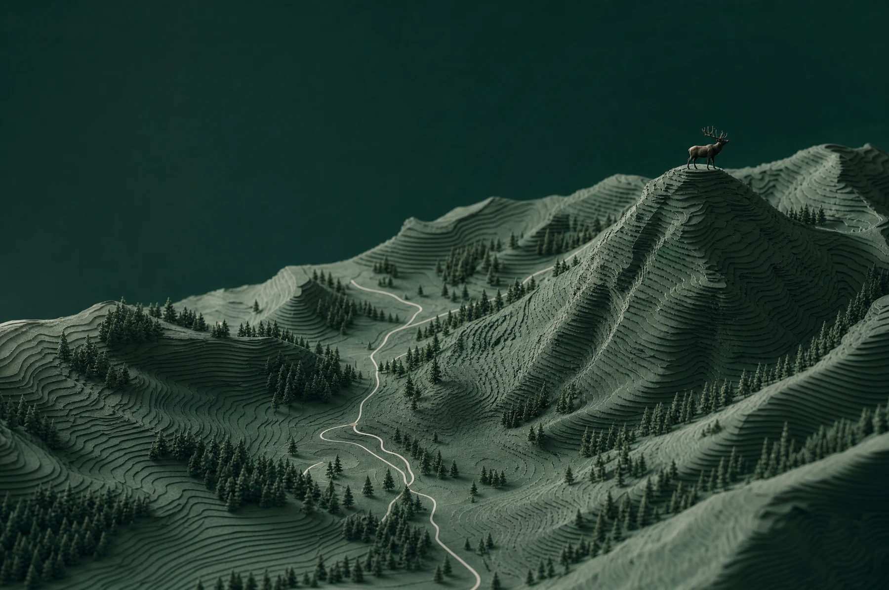 An elk on a ridge, looking out over the whole valley